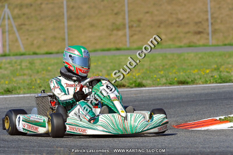 DSC_ (1116).jpg